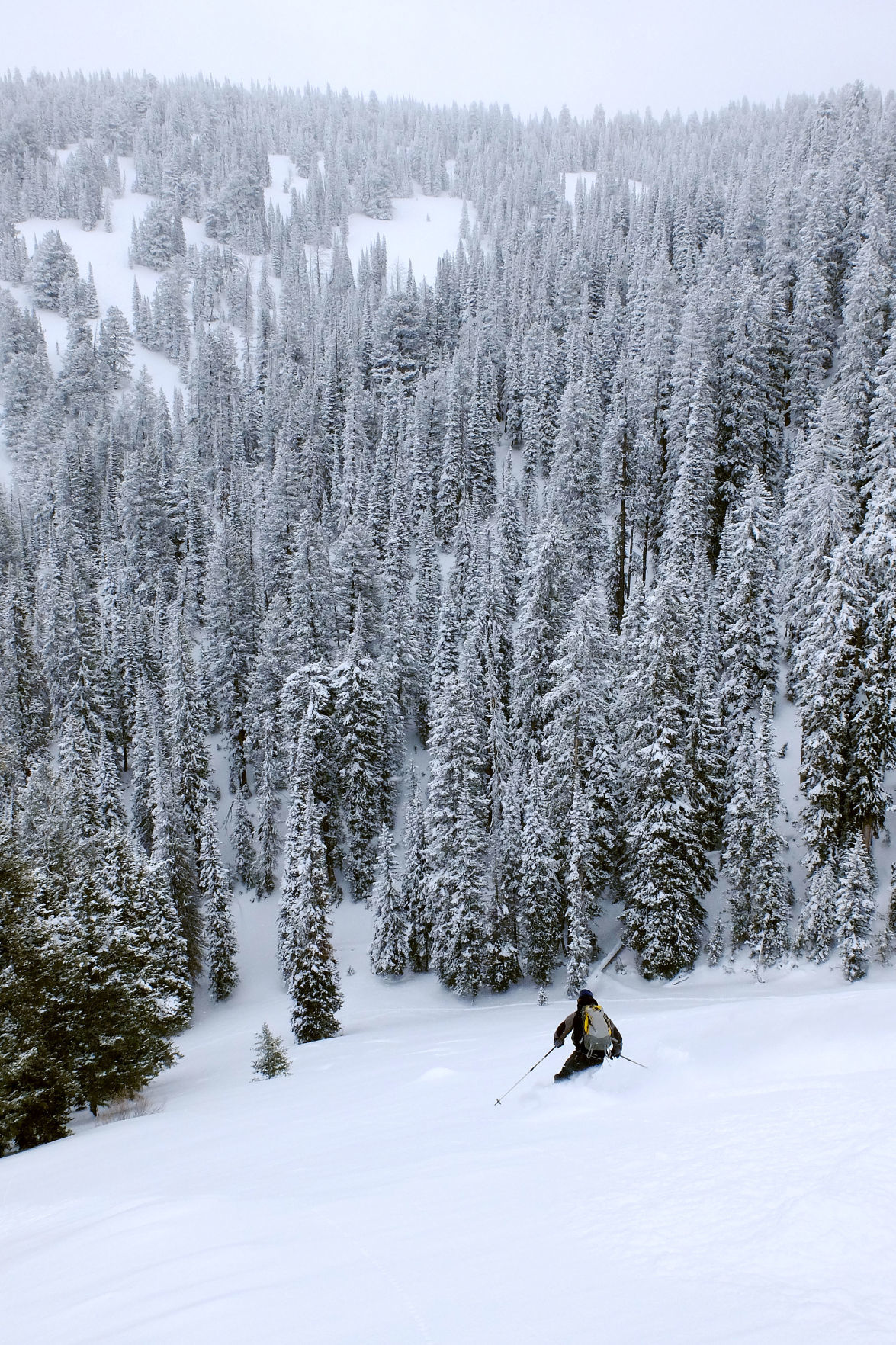 Teton Pass skiing